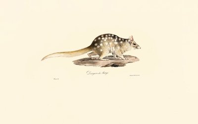 Keleti Quoll alkotó: Jacques Christophe Werner