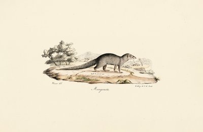  alkotó: Jacques Christophe Werner