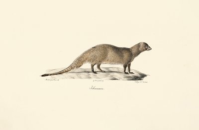  alkotó: Jacques Christophe Werner