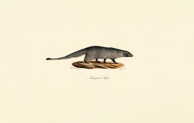  alkotó: Jacques Christophe Werner