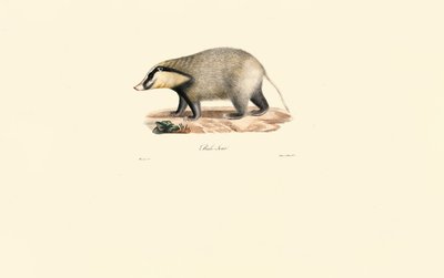  alkotó: Jacques Christophe Werner