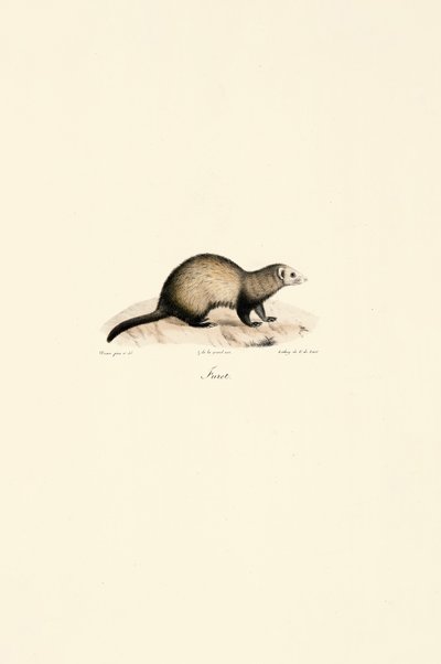  alkotó: Jacques Christophe Werner