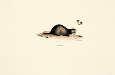  alkotó: Jacques Christophe Werner
