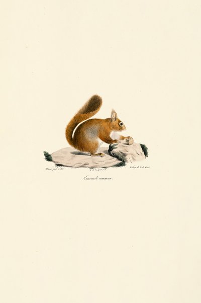  alkotó: Jacques Christophe Werner