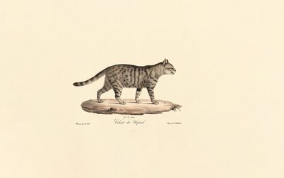  alkotó: Jacques Christophe Werner