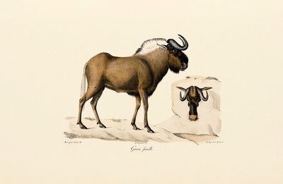  alkotó: Jacques Christophe Werner