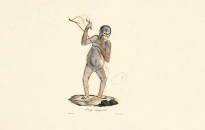  alkotó: Jacques Christophe Werner