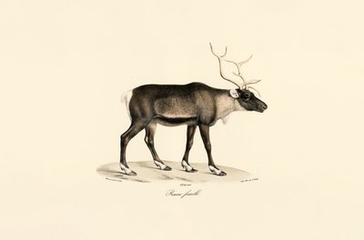  alkotó: Jacques Christophe Werner