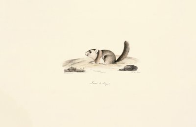  alkotó: Jacques Christophe Werner