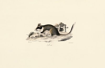  alkotó: Jacques Christophe Werner