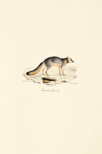  alkotó: Jacques Christophe Werner