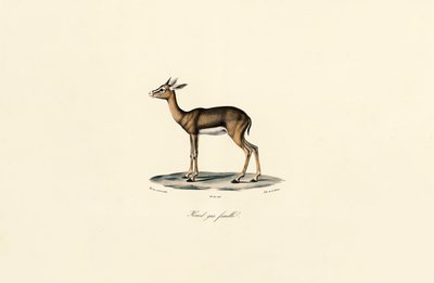  alkotó: Jacques Christophe Werner