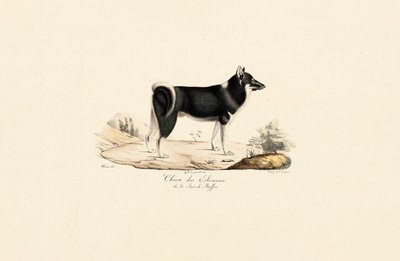  alkotó: Jacques Christophe Werner