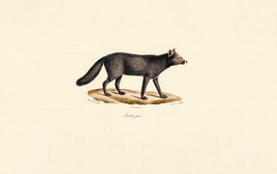  alkotó: Jacques Christophe Werner