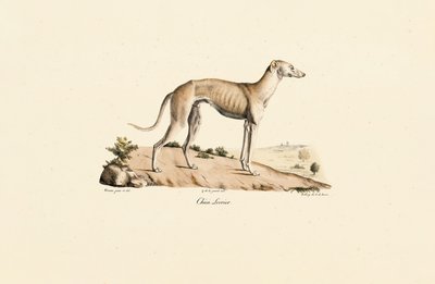  alkotó: Jacques Christophe Werner