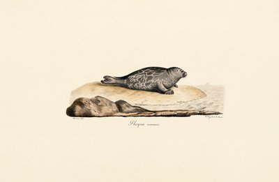  alkotó: Jacques Christophe Werner