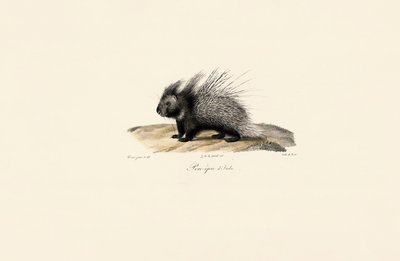 alkotó: Jacques Christophe Werner