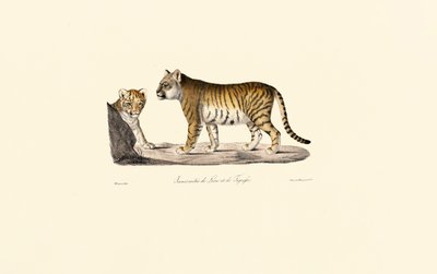  alkotó: Jacques Christophe Werner
