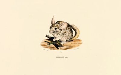  alkotó: Jacques Christophe Werner