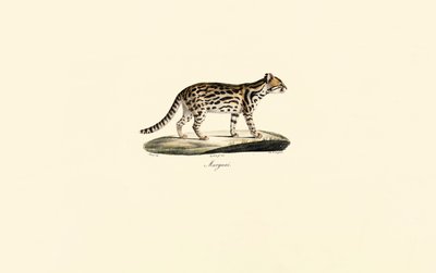  alkotó: Jacques Christophe Werner