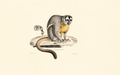  alkotó: Jacques Christophe Werner