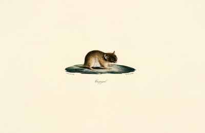  alkotó: Jacques Christophe Werner