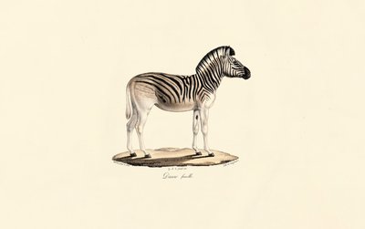  alkotó: Jacques Christophe Werner