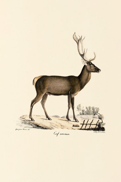  alkotó: Jacques Christophe Werner