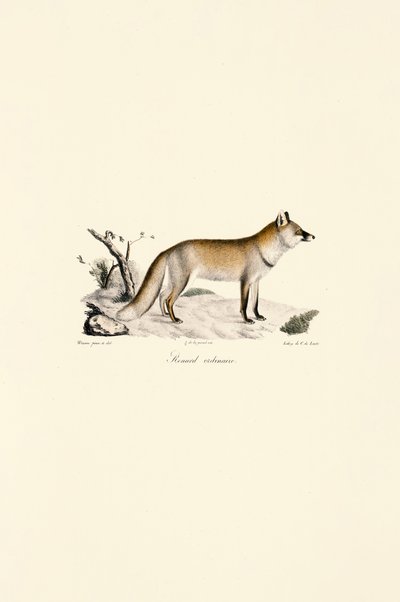  alkotó: Jacques Christophe Werner