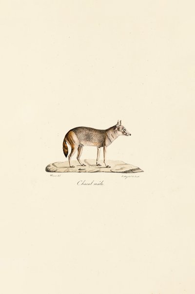  alkotó: Jacques Christophe Werner