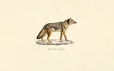  alkotó: Jacques Christophe Werner