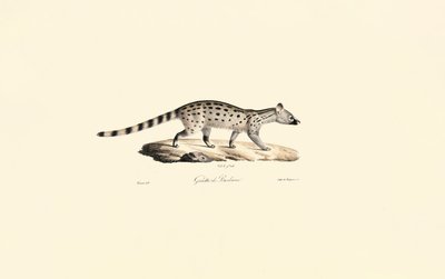  alkotó: Jacques Christophe Werner