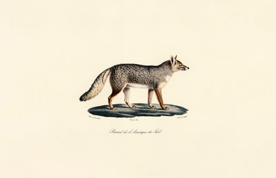 alkotó: Jacques Christophe Werner