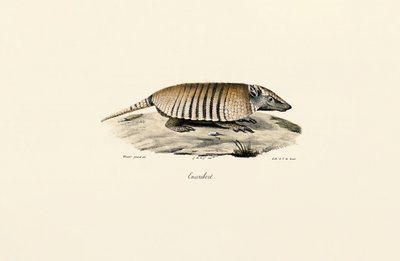  alkotó: Jacques Christophe Werner