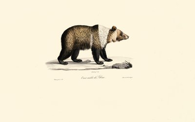  alkotó: Jacques Christophe Werner