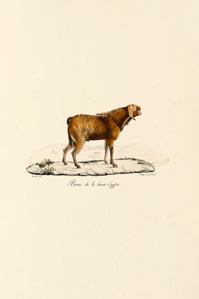  alkotó: Jacques Christophe Werner