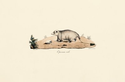  alkotó: Jacques Christophe Werner