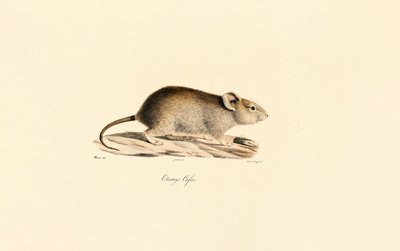  alkotó: Jacques Christophe Werner