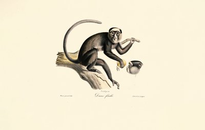  alkotó: Jacques Christophe Werner
