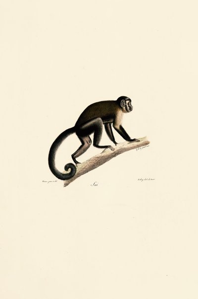  alkotó: Jacques Christophe Werner