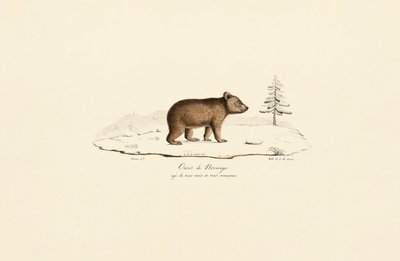  alkotó: Jacques Christophe Werner