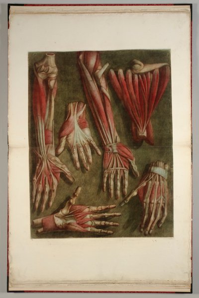 Boncolt kezek csoportja, 1745-46 alkotó: Jacques-Fabien Gautier dAgoty