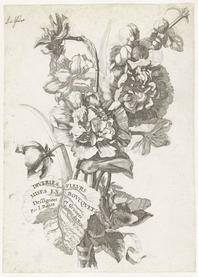 Címlap egy csokor bazsarózsával, a Diverses Fleurs mises en Bouquets-től, 1670 körül alkotó: Jacques I Bailly
