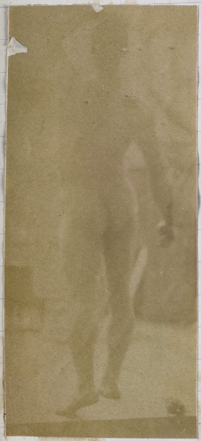 Egy férfi meztelen modell tanulmányozása, felállva és hátulról nézve Jacques de Lalaing stúdiójában alkotó: Jacques Lalaing (attributed to)