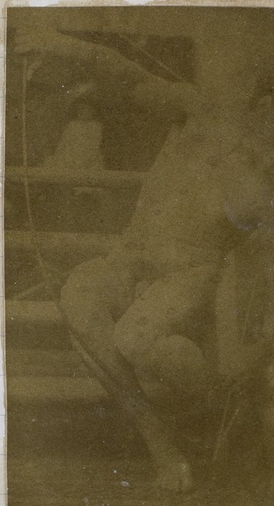 Tanulmány egy lépcsőn ülő férfi meztelen modellről, elölről nézve, kötéllel és masnival az ölében, Jacques de Lalaing stúdiójában alkotó: Jacques Lalaing (attributed to)