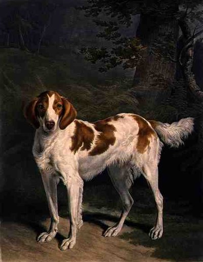 Dash, metszett: Charles Turner (1773-1857), kocsma. R. Ackermann Jnr. (mezzotinta metszet) alkotó: Jacques Laurent (after) Agasse