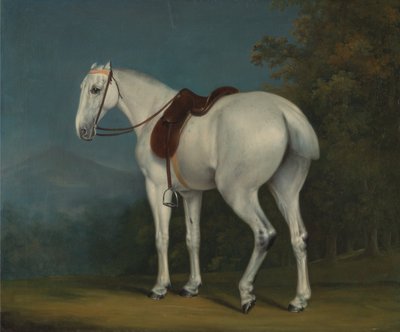 Egy hölgy szürke vadász alkotó: Jacques-Laurent Agasse