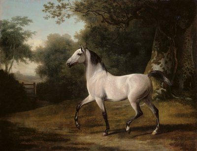 Szürke arab mén erdős tájon alkotó: Jacques-Laurent Agasse