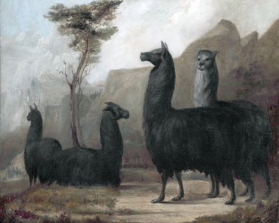 Alpakák alkotó: Jacques-Laurent Agasse