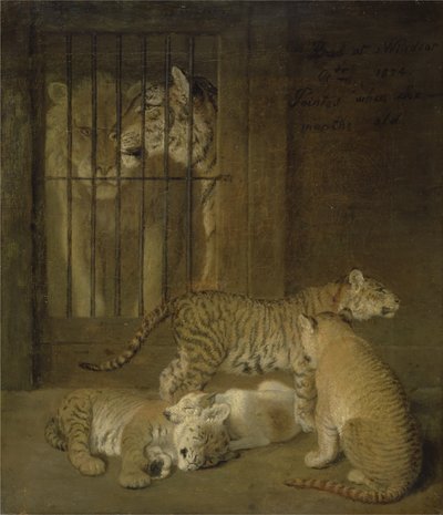 Oroszlán és tigris között szaporodó kölykök csoportja alkotó: Jacques-Laurent Agasse